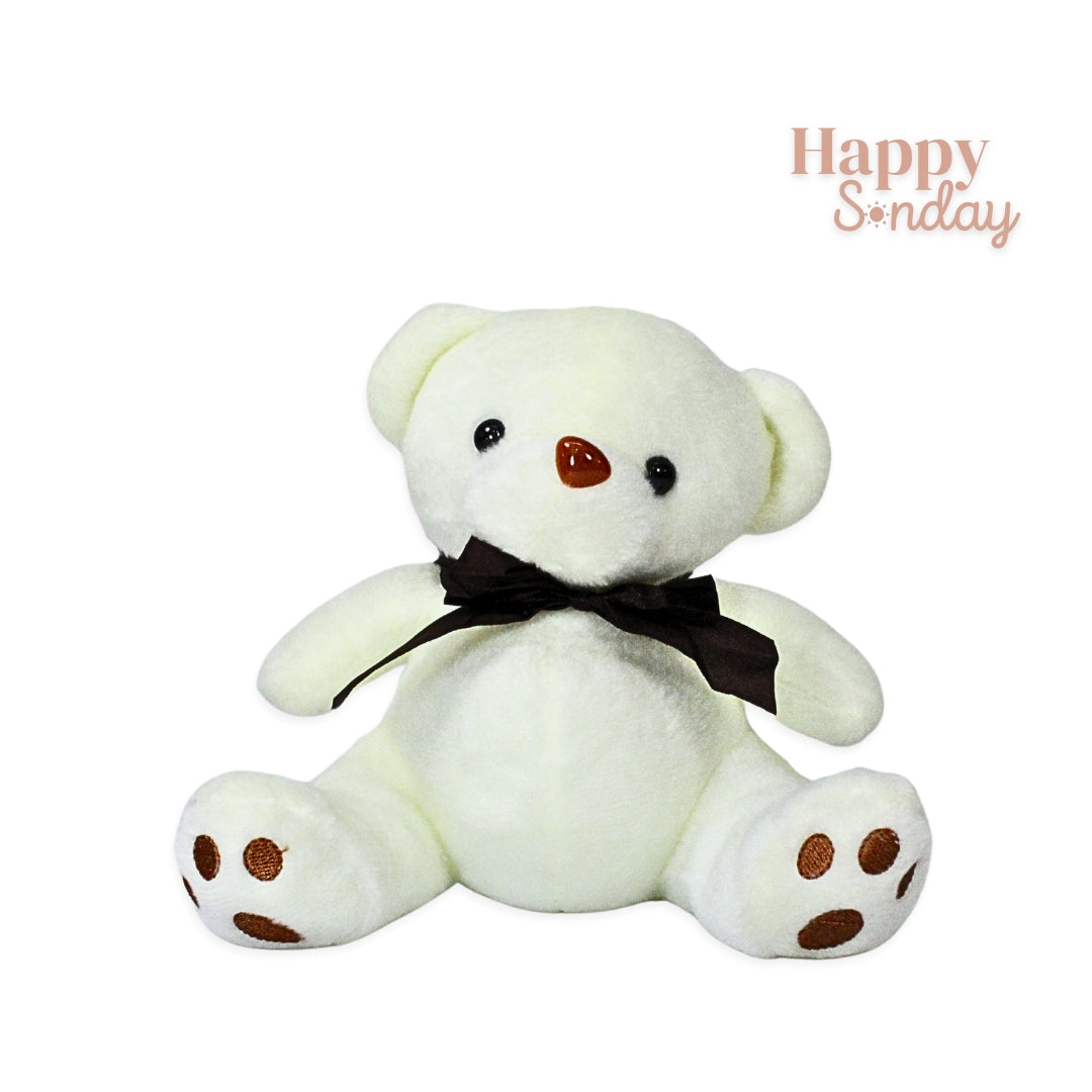 Oso de peluche pequeño
