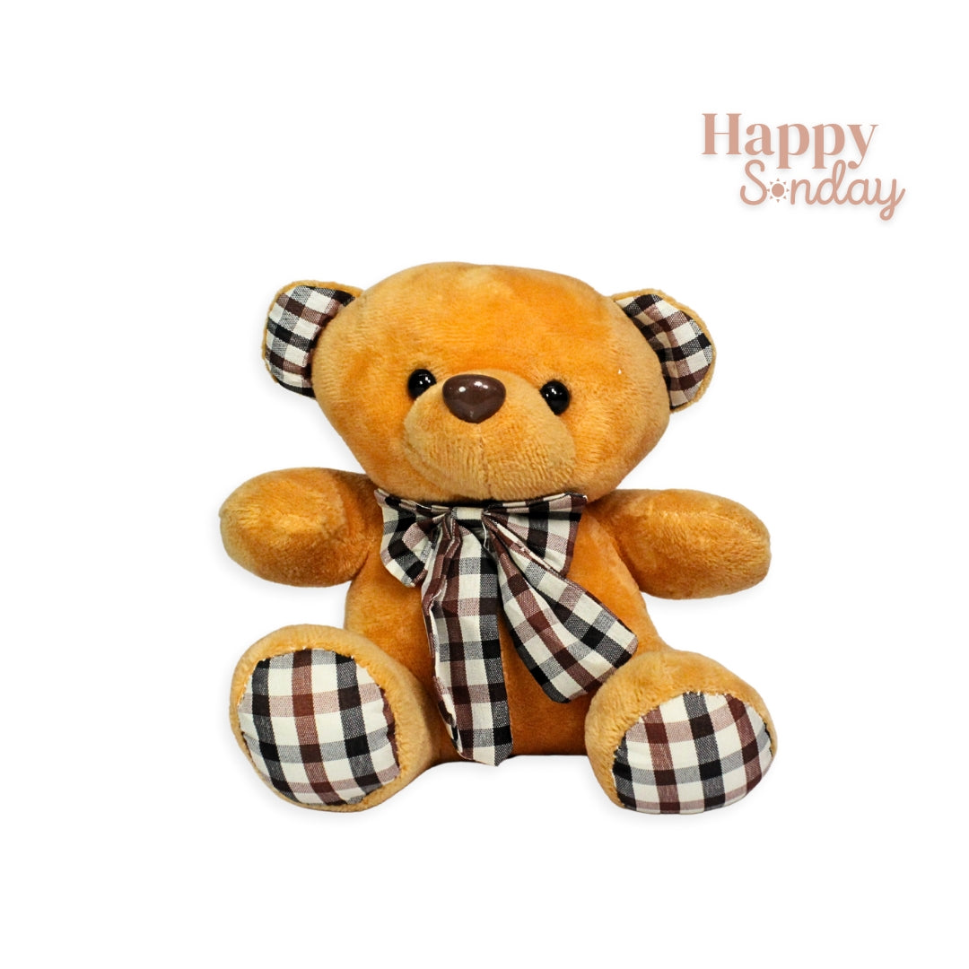 Oso de peluche pequeño